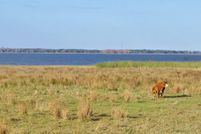 Waterfront Property in Osceola County, Florida