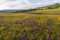 Property in Colusa County, California