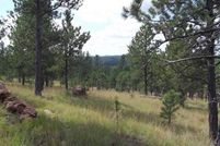 Timberland Property in Custer County, South Dakota