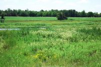 Undeveloped Land in Fannin County, Texas