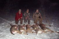 Hunting Land in Fayette County, Iowa