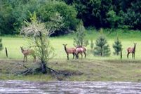 Waterfront Property in Idaho County, Idaho