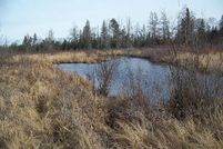 Farm Property in Iron County, Michigan