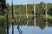 Farm Property in Yell County, Arkansas