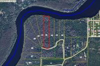 Undeveloped Land in Levy County, Florida