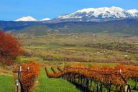 Farm Property in Delta County, Colorado