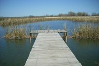 Farm Property in Hunt County, Texas