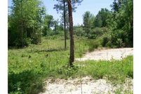 Ranch Property in Barbour County, Alabama