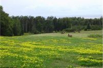 Ranch Property in Lake County, Minnesota