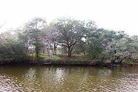 Farm Property in Matagorda County, Texas