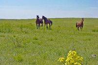 Property in Cheyenne County, Kansas