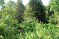 Farm Property in Mason County, Kentucky