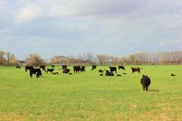 Farm Property in Foard County, Texas