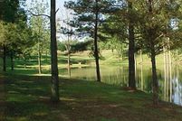 Farm Property in Weakley County, Tennessee