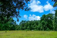 Ranch Property in Polk County, Texas