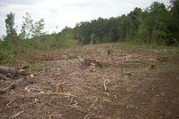Farm Property in Warren County, Kentucky