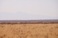 Farm Property in Reeves County, Texas