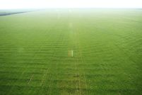 Ranch Property in Knox County, Texas