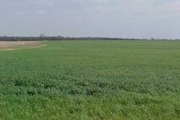 Farm Property in Ellis County, Texas