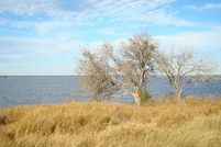 Farm Property in Live Oak County, Texas