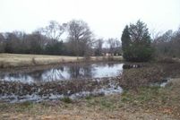 Farm Property in Henderson County, Texas