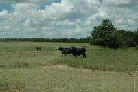 Farm Property in Comanche County, Texas