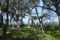 Property in Dixie County, Florida