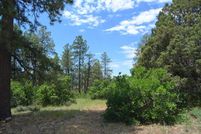 Ranch Property in Archuleta County, Colorado