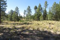 Property in Cibola County, New Mexico