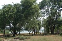 Property in Henderson County, Texas