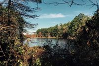Ranch Property in Sabine County, Texas