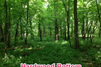 Farm Property in Talbot County, Georgia