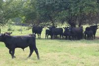 Ranch Property in McCurtain County, Oklahoma