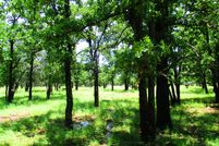 Farm Property in Bandera County, Texas
