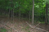 Farm Property in Braxton County, West Virginia