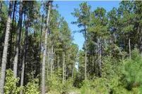 Ranch Property in Florence County, South Carolina