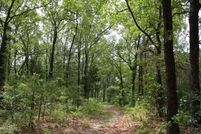 Farm Property in Wood County, Texas