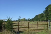 Ranch Property in Chatham County, North Carolina