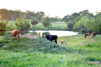 Horse Property in Milam County, Texas