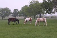 Property in Fannin County, Texas