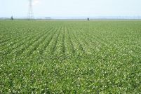 Ranch Property in Clay County, South Dakota