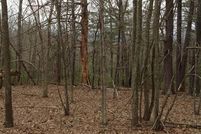 Ranch Property in Shenandoah County, Virginia