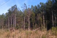 Property in Pender County, North Carolina