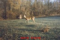 Ranch Property in Lafayette County, Mississippi