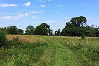 Property in Van Zandt County, Texas