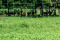 Property in Lamar County, Texas