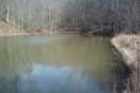 Property in Fleming County, Kentucky