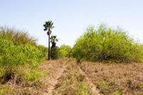 Ranch Property in Hidalgo County, Texas