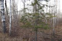 Residential Property in Oneida County, Wisconsin