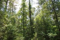 Farm Property in San Augustine County, Texas